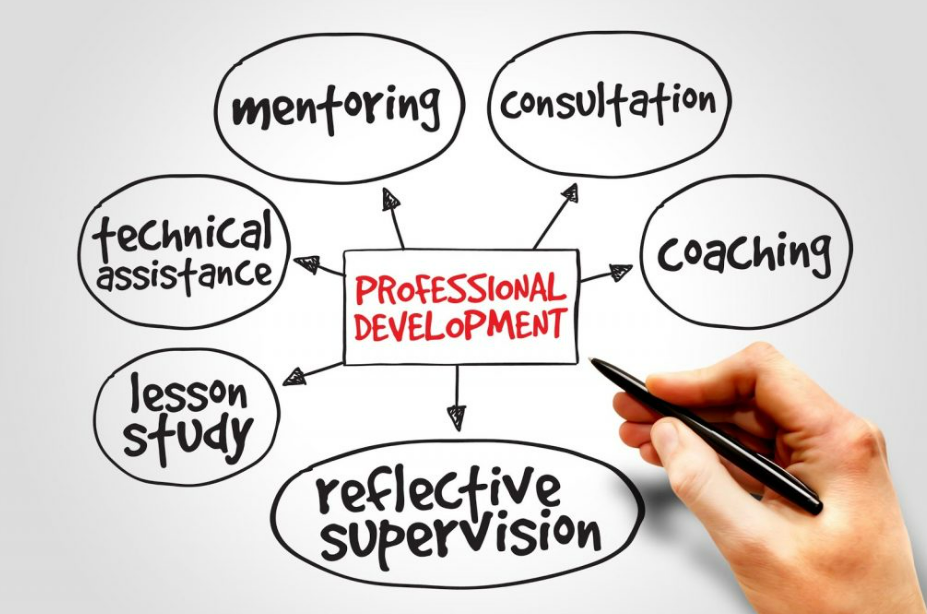 Fall 2025 Organizational Behavior/Professional Development